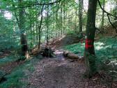  Blick auf die Wanderstrecke 